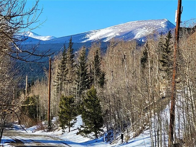 1191 Quartzville Rd, Alma, CO 80420 - photo 29