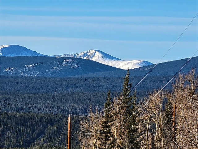 1191 Quartzville Rd, Alma, CO 80420