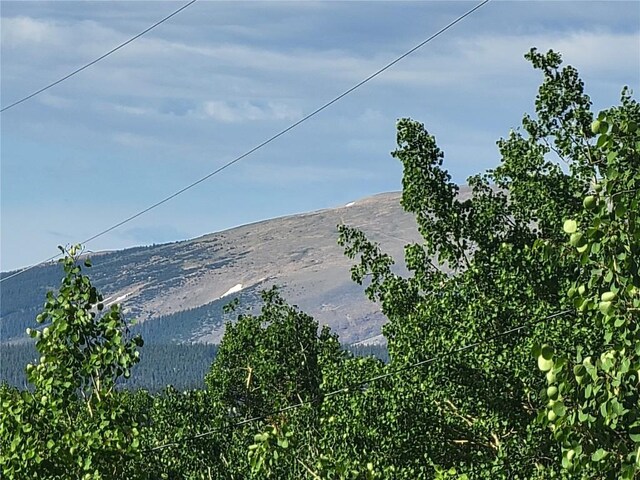 1191 Quartzville Rd, Alma, CO 80420 - photo 2