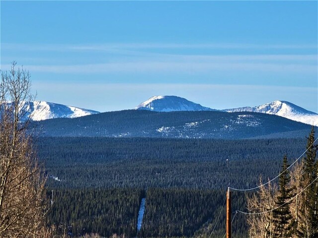 1191 Quartzville Rd, Alma, CO 80420 - photo 26