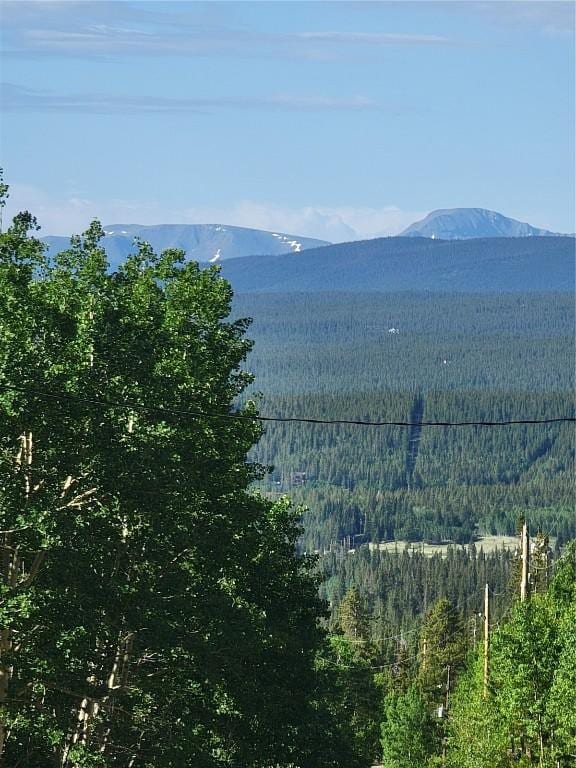 1191 Quartzville Rd, Alma, CO 80420 - photo 37