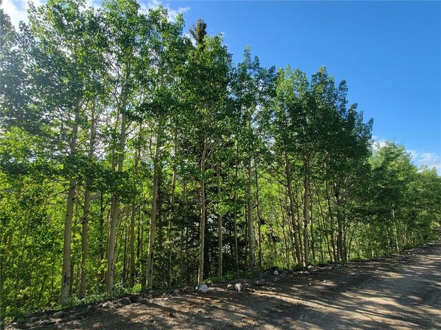 1191 Quartzville Rd, Alma, CO 80420 - photo 46
