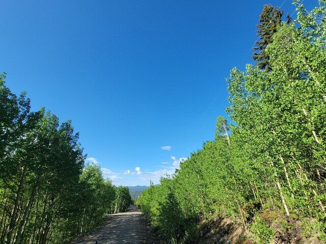 1191 Quartzville Rd, Alma, CO 80420 - photo 49