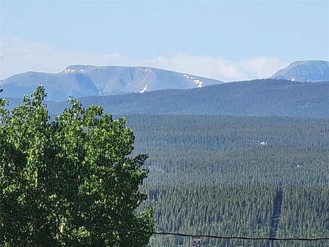 1191 Quartzville Rd, Alma, CO 80420 - photo 13