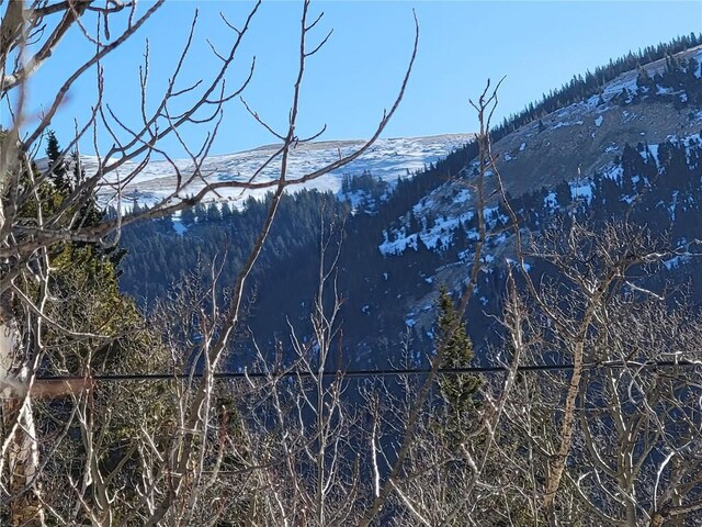 1191 Quartzville Rd, Alma, CO 80420 - photo 31