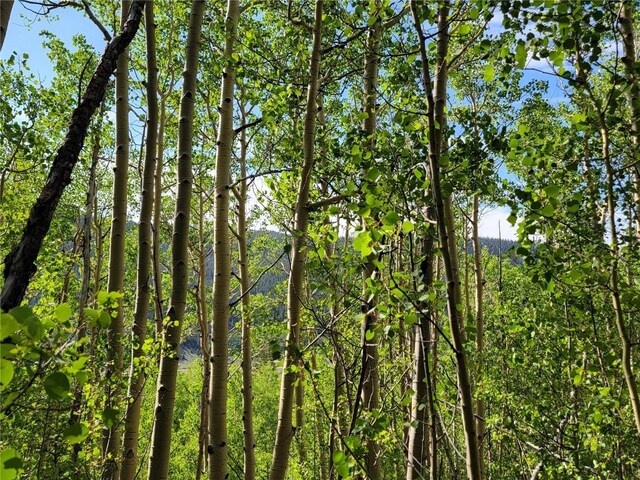 1191 Quartzville Rd, Alma, CO 80420 - photo 34