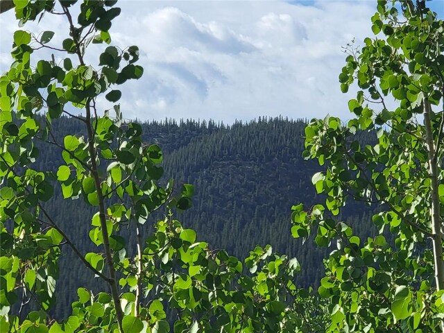 1191 Quartzville Rd, Alma, CO 80420 - photo 22
