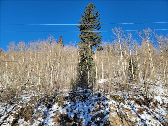 1191 Quartzville Rd, Alma, CO 80420