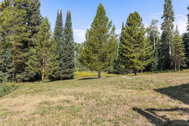 26765 El Dorado Dr, Clark, CO 80428 - photo 42