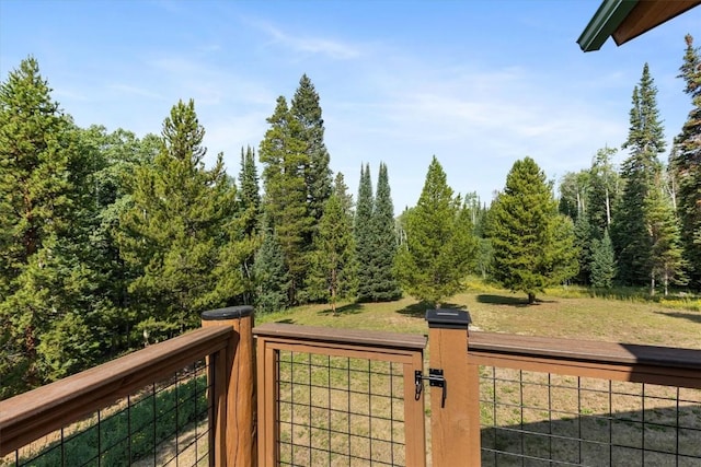 26765 El Dorado Dr, Clark, CO 80428 - photo 39