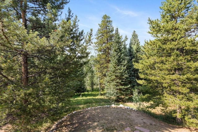 26765 El Dorado Dr, Clark, CO 80428 - photo 38