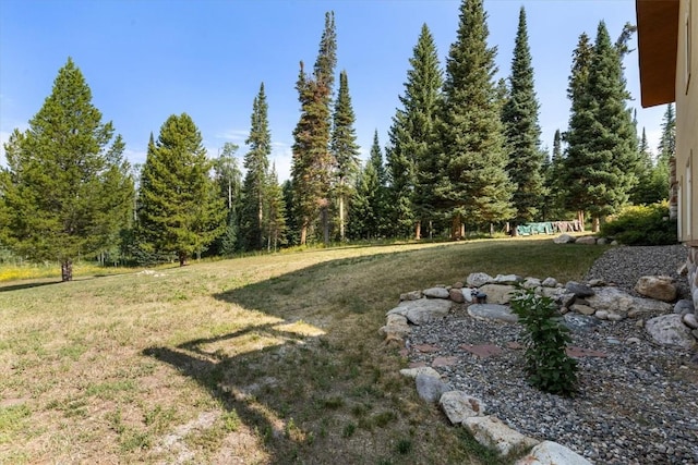 26765 El Dorado Dr, Clark, CO 80428 - photo 41