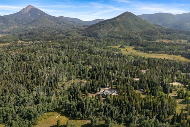 26765 El Dorado Dr, Clark, CO 80428 - photo 43