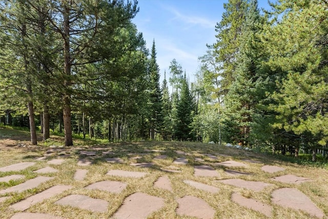 26765 El Dorado Dr, Clark, CO 80428 - photo 40