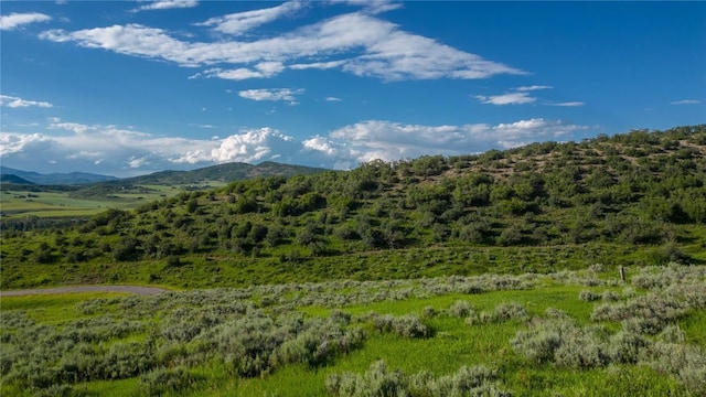 27105 Cowboy Up Rd, Steamboat Springs, CO 80487