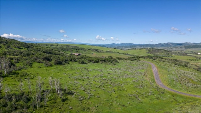 27105 Cowboy Up Rd, Steamboat Springs, CO 80487