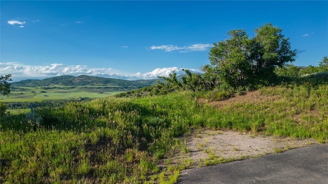 27105 Cowboy Up Rd, Steamboat Springs, CO 80487