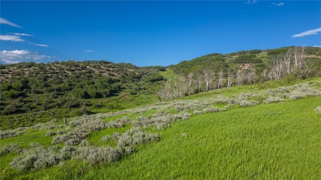 27105 Cowboy Up Rd, Steamboat Springs, CO 80487