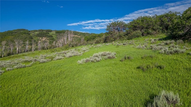 27105 Cowboy Up Rd, Steamboat Springs, CO 80487
