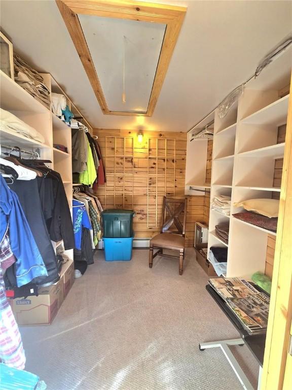 storage area with attic access