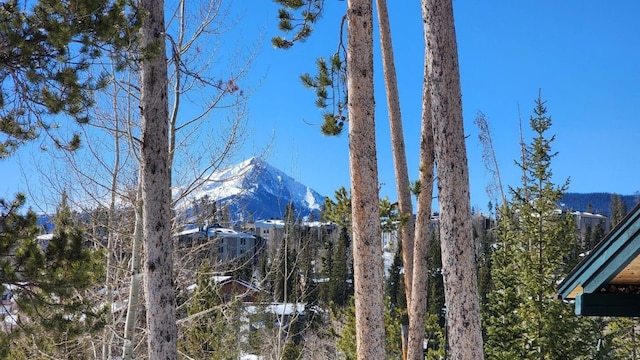 property view of mountains