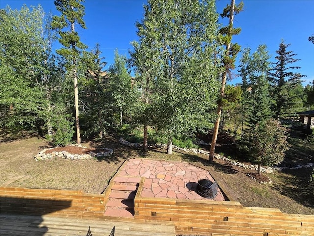 view of yard featuring a patio
