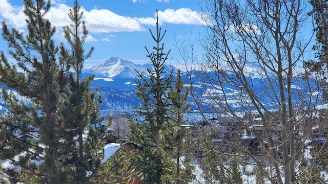 mountain view