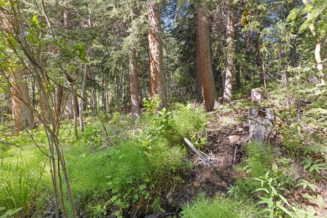 294 Mine Dump Rd, Alma, CO 80440 - photo 47