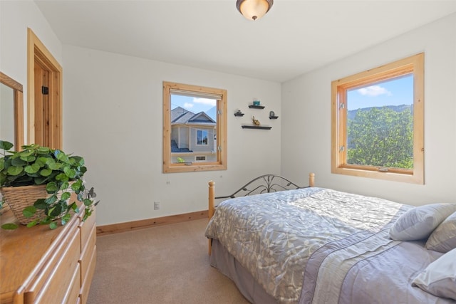 294 Mine Dump Rd, Alma, CO 80440 - photo 25