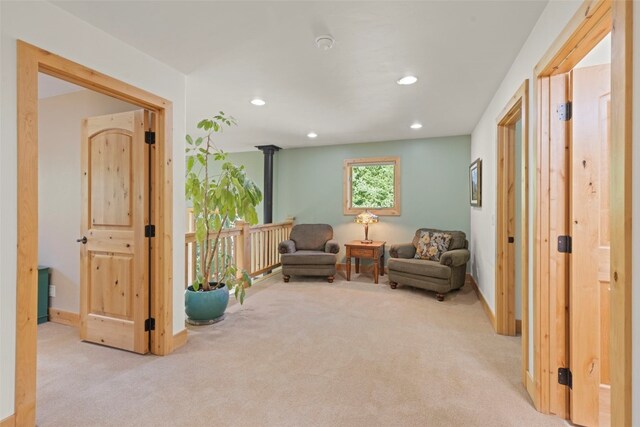 294 Mine Dump Rd, Alma, CO 80440 - photo 20