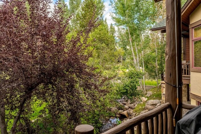 2755 Waterstone Ln Unit 35, Steamboat Springs, CO 80487 - view of balcony