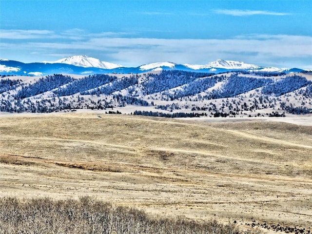 429 Caracara Ln, Como, CO 80456