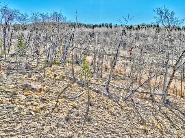 429 Caracara Ln, Como, CO 80456