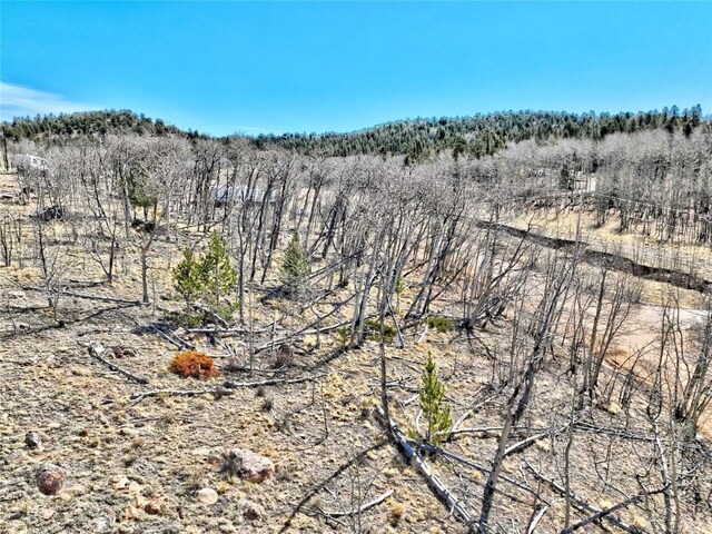 429 Caracara Ln, Como, CO 80456