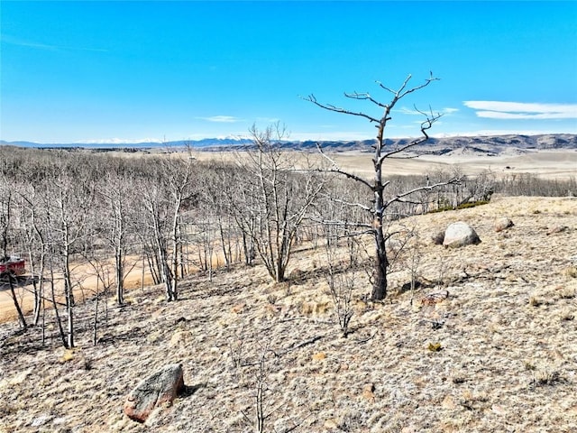 429 Caracara Ln, Como, CO 80456