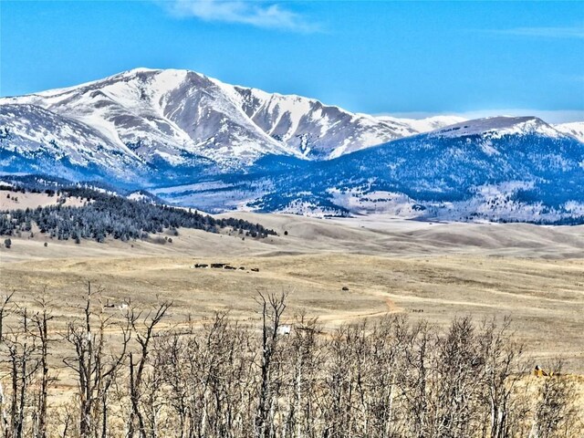 429 Caracara Ln, Como, CO 80456