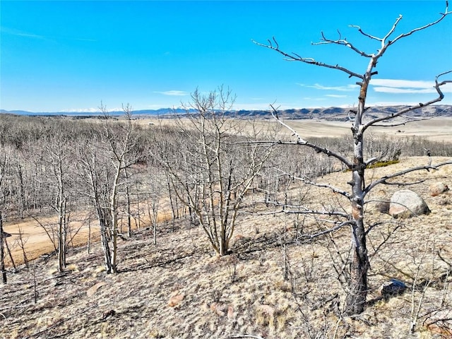 429 Caracara Ln, Como, CO 80456 - photo 16