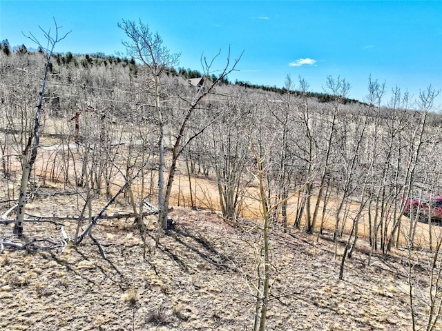 429 Caracara Ln, Como, CO 80456