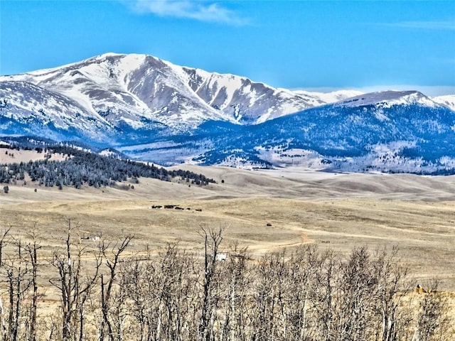 429 Caracara Ln, Como, CO 80456 - photo 9