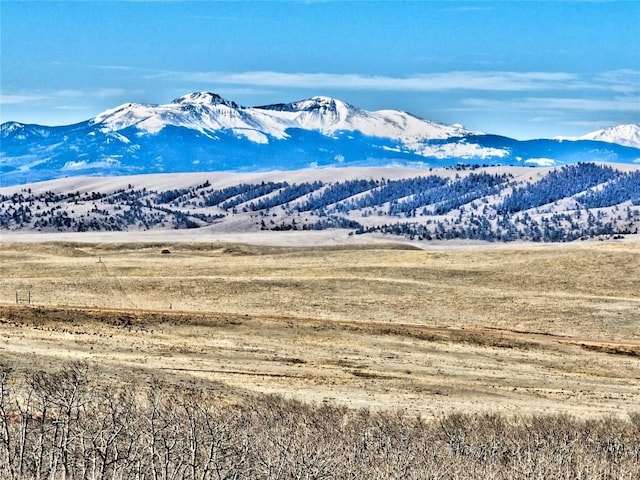 429 Caracara Ln, Como, CO 80456 - photo 12