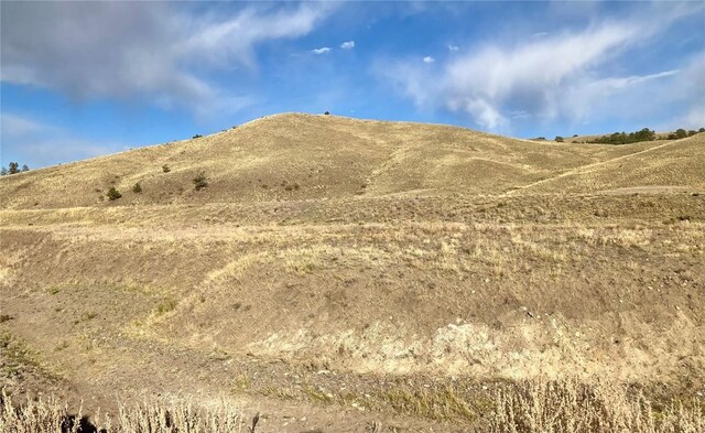 912 Thrush Ln, Hartsel, CO 80449 - photo 22