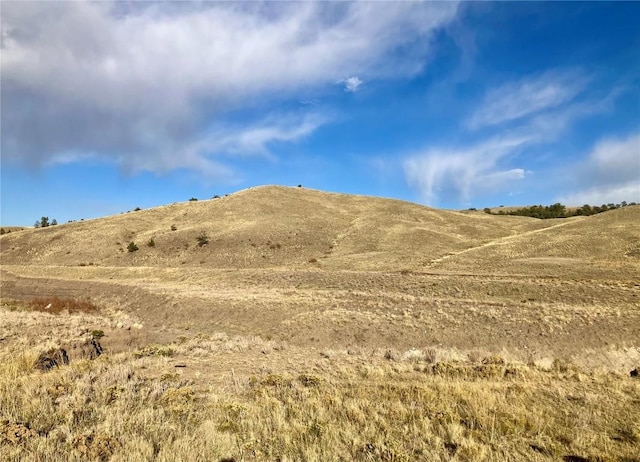 912 Thrush Ln, Hartsel, CO 80449 - photo 25