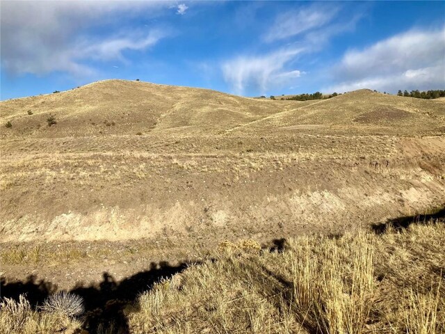 912 Thrush Ln, Hartsel, CO 80449 - photo 24