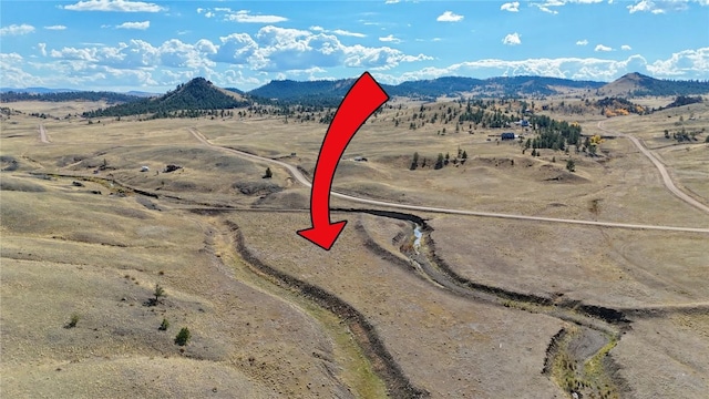 912 Thrush Ln, Hartsel, CO 80449 - photo 4