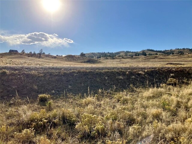 912 Thrush Ln, Hartsel, CO 80449 - photo 21