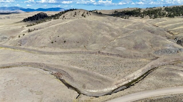 912 Thrush Ln, Hartsel, CO 80449 - photo 14