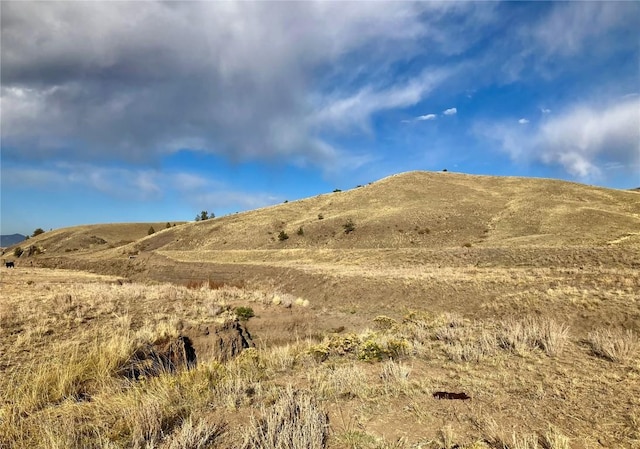 912 Thrush Ln, Hartsel, CO 80449 - photo 18
