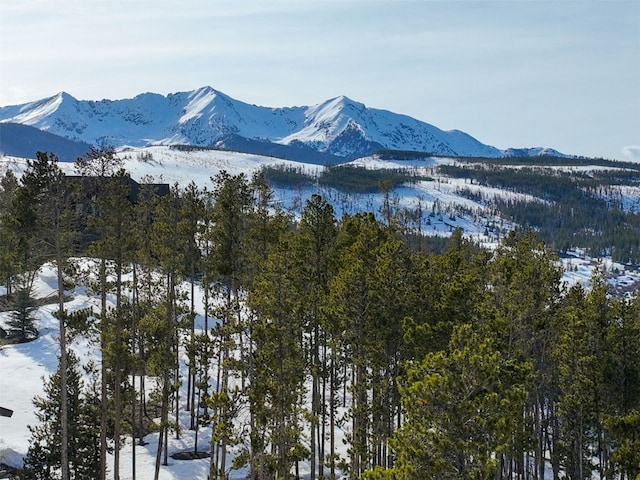 2437 Highlands Dr, Breckenridge, CO 80424