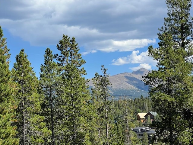 view of mountain feature