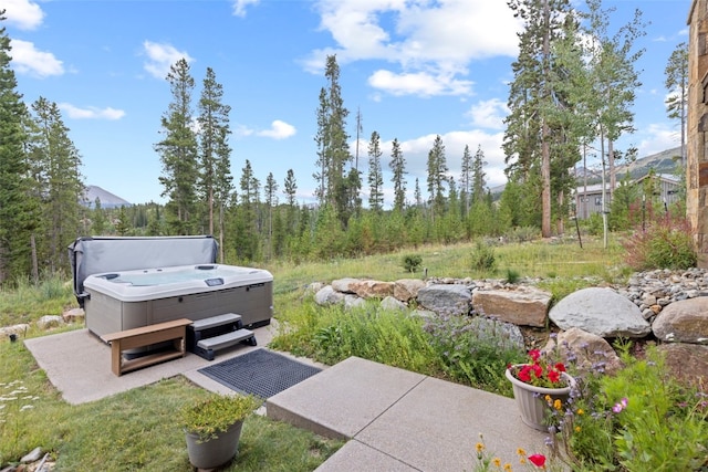 view of yard featuring a hot tub